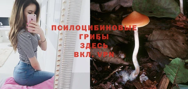 бутират Бежецк