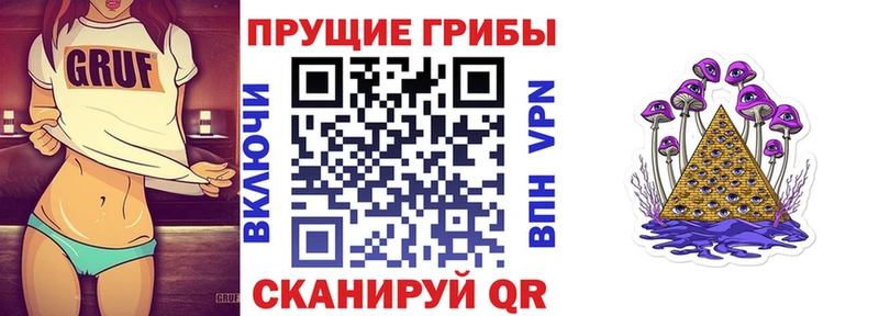 ссылка на мегу онион  купить  цена  сайты даркнета телеграм  Псилоцибиновые грибы Cubensis  Болотное 